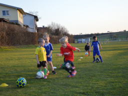 Trainingsstart beim Nachwuchs-SK Enns