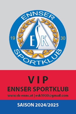VIP20242025.png